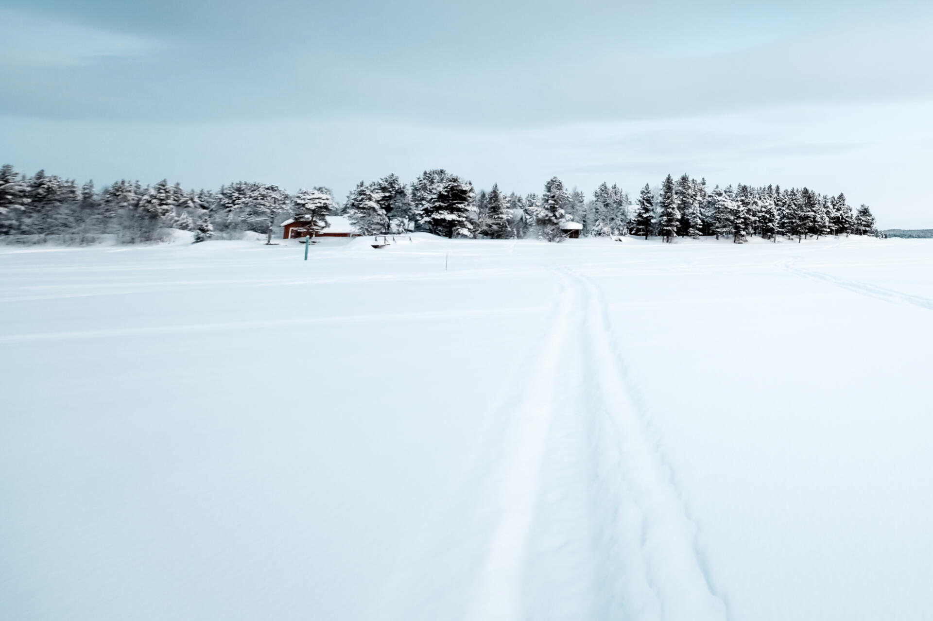 Operational Clarity in Complex Environments Snow-covered landscape with clean, converging tracks leading to the horizon—symbolizing clarity, alignment, and strategic direction in organizational change and systems transformation.